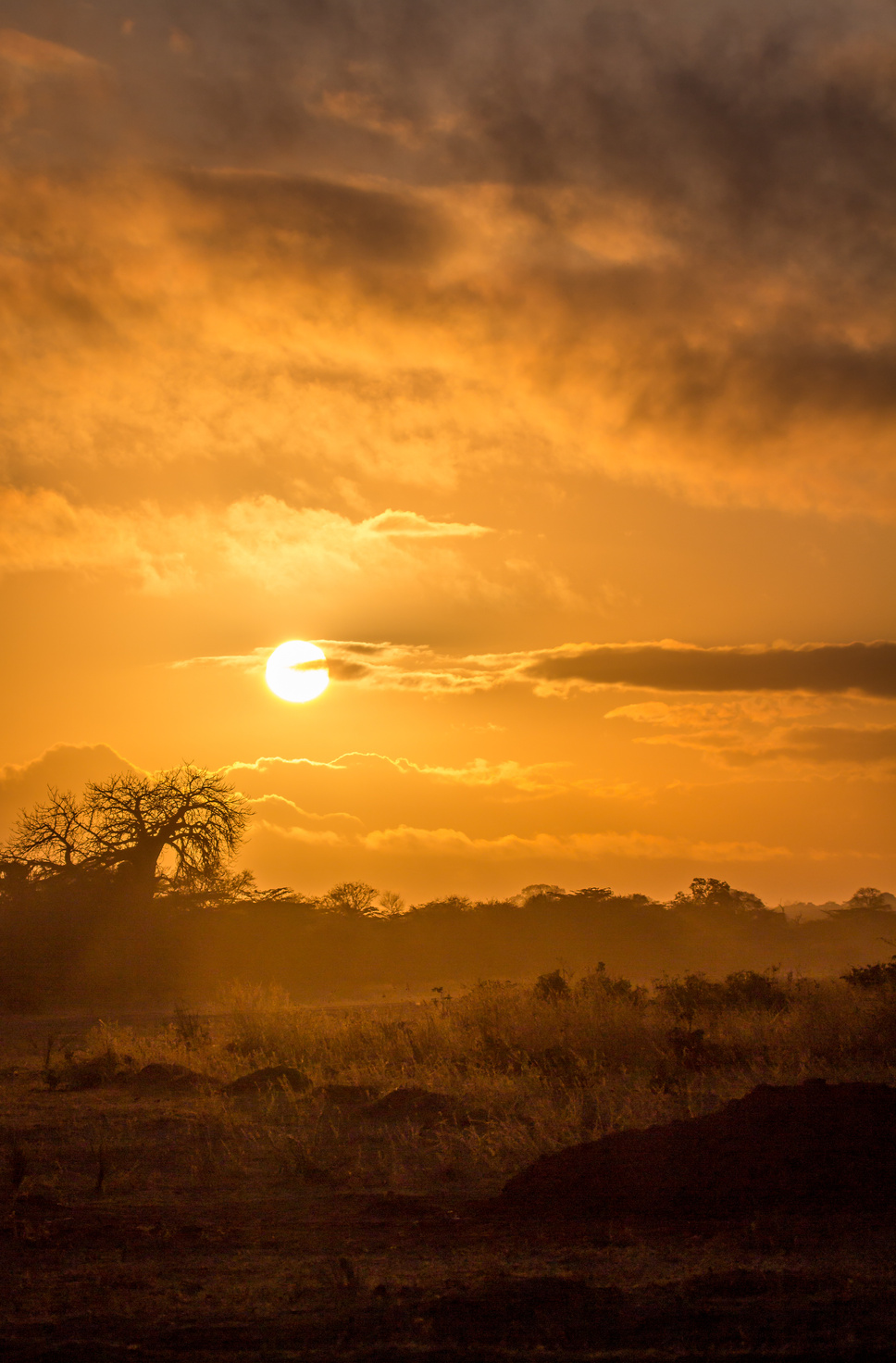 Africa Sunset - Selous Game Reserve